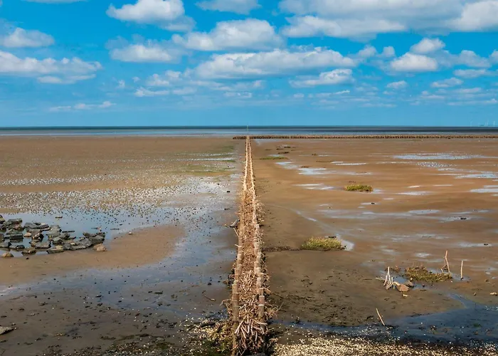 Deichkoje 2 Appartement